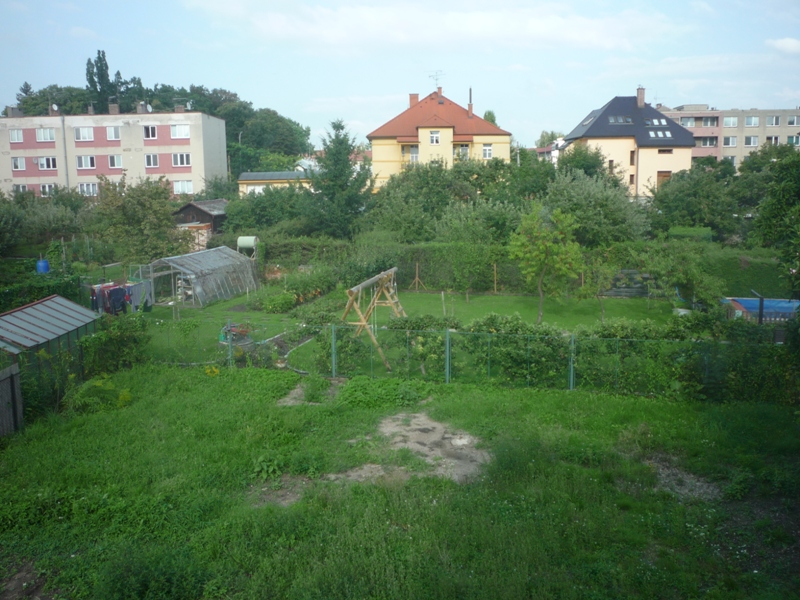 p1030047